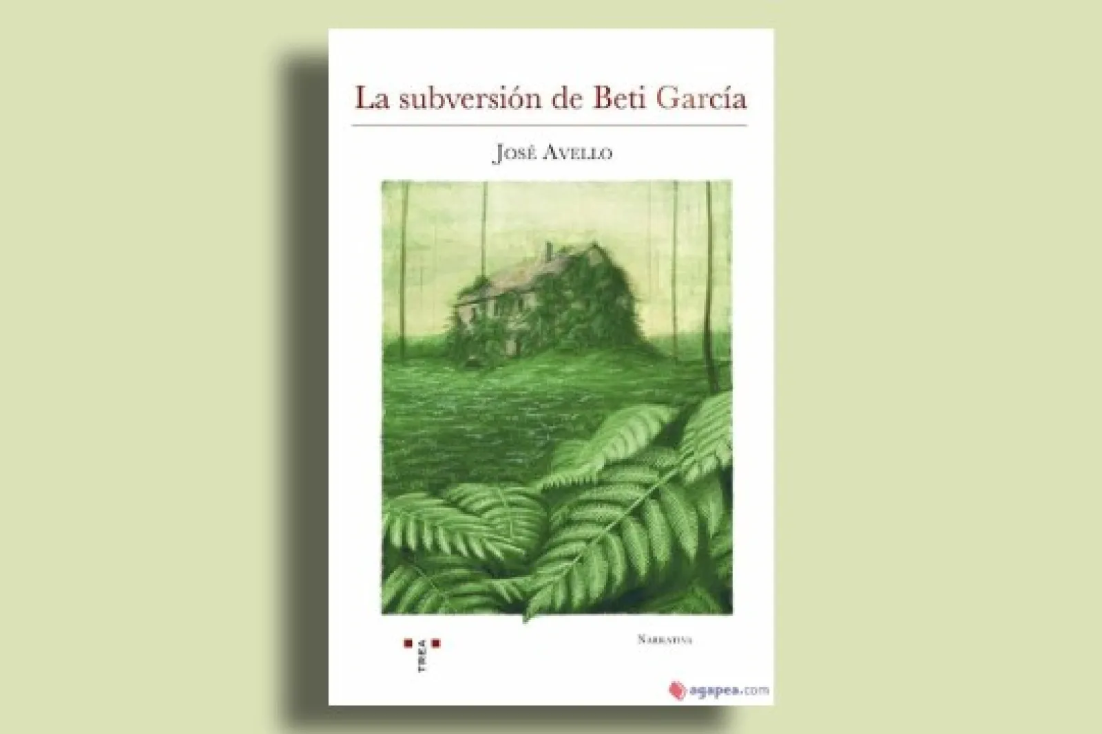 Club de lectura para adultos/as (+16 años): "La subversión de Beti García" (Eduardo Halfon)