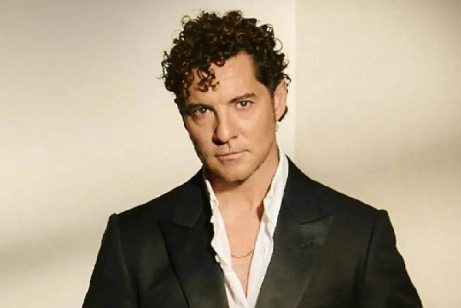 Entradas concierto David Bisbal (29 de mayo - Bilbao)