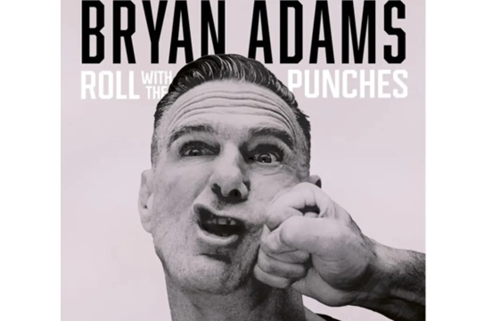 Concierto Bryan Adams en Pamplona (19 agosto - Navarra Arena)