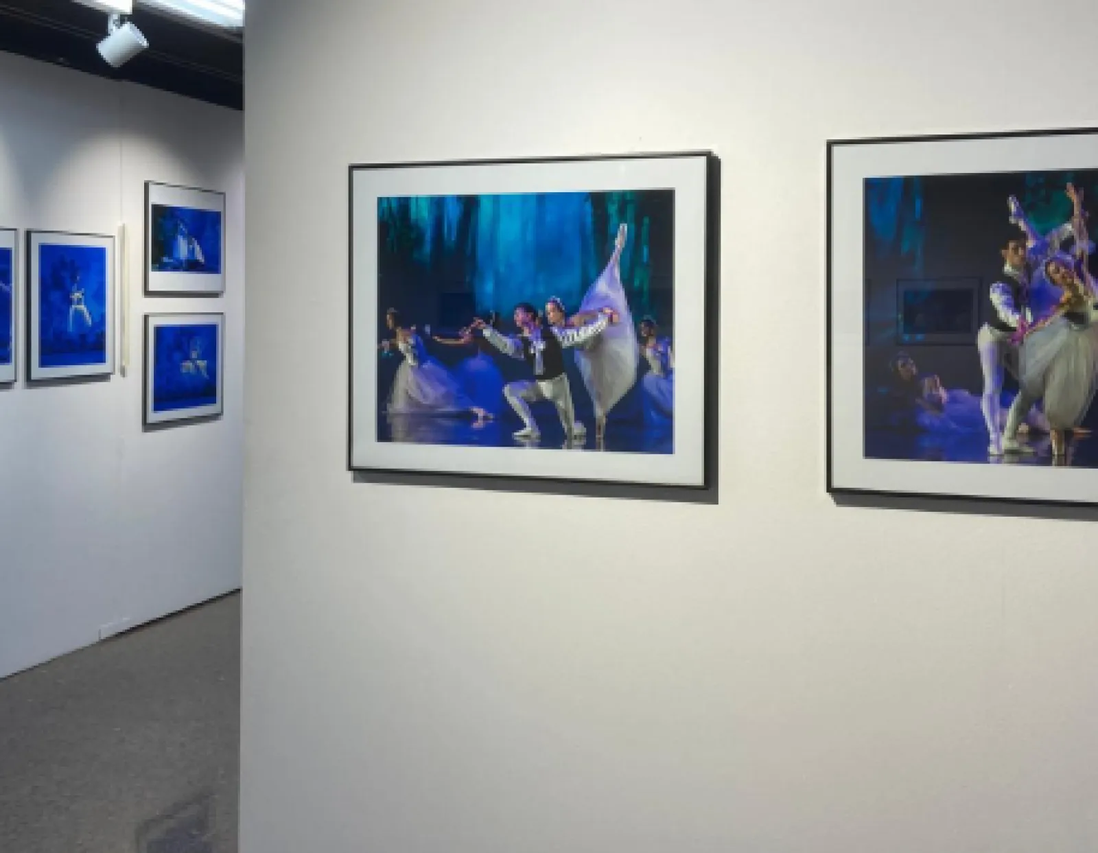 Exposición "La captura de la temporada"