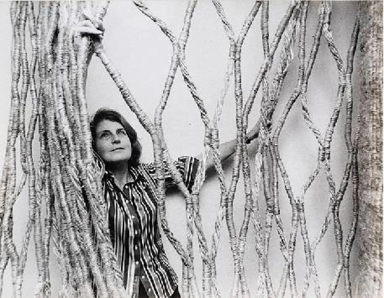 "Aurèlia Muñoz : la nature comme archive"