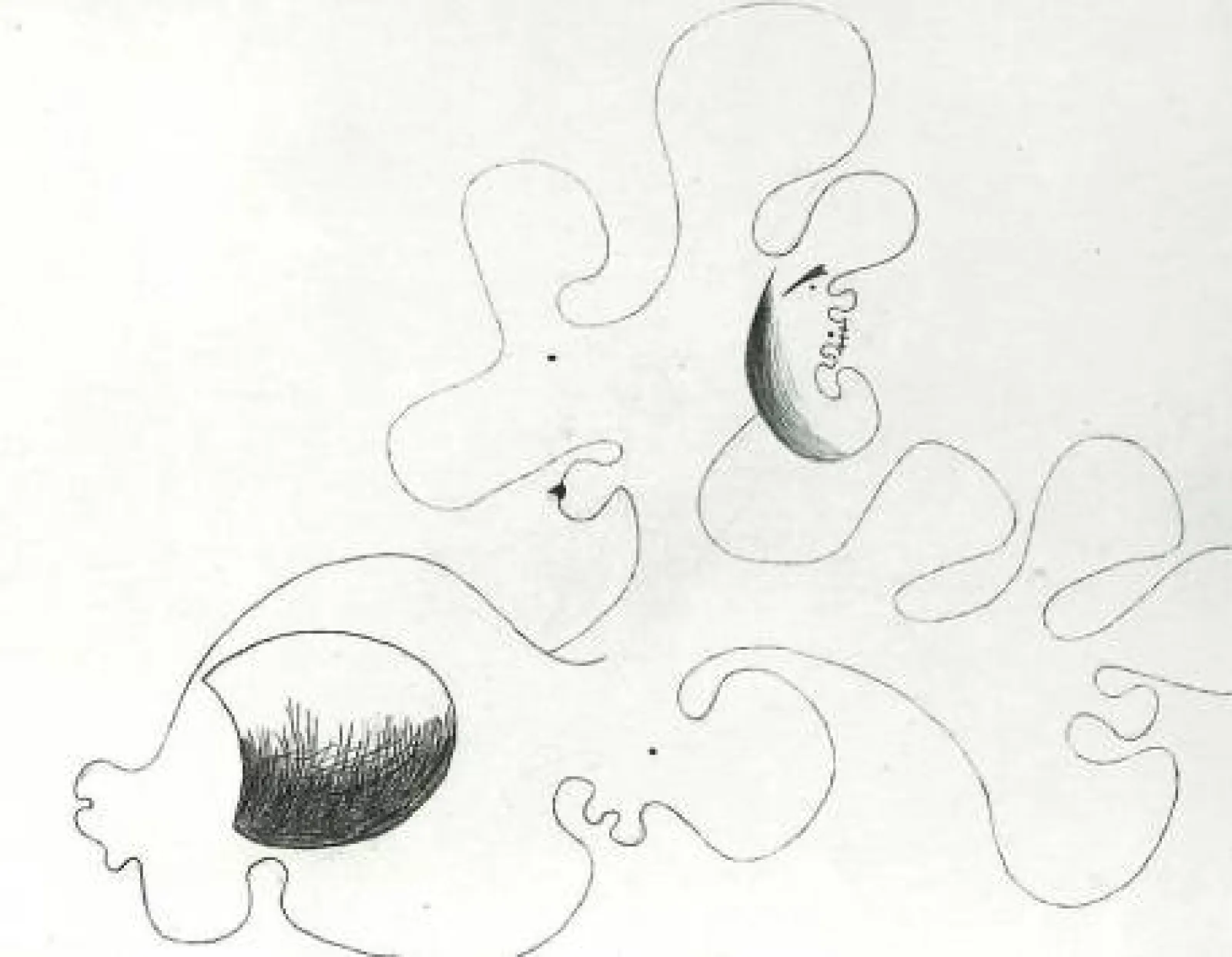 Exposition "Obrir l'arxiu 08 Sense títol (1930)"