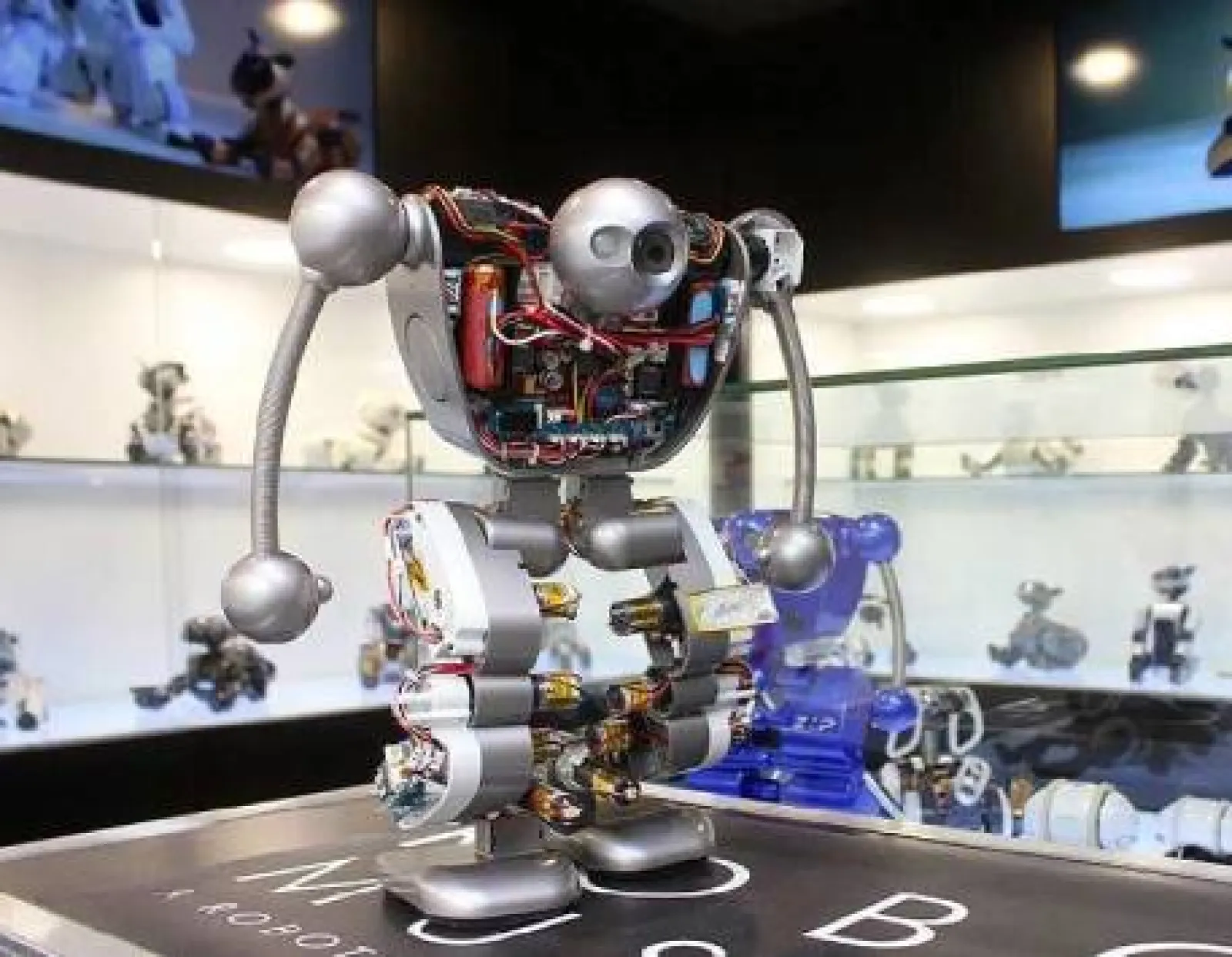 Exposición "Robots. Dels autòmats de Leonardo als humanoides del futur"