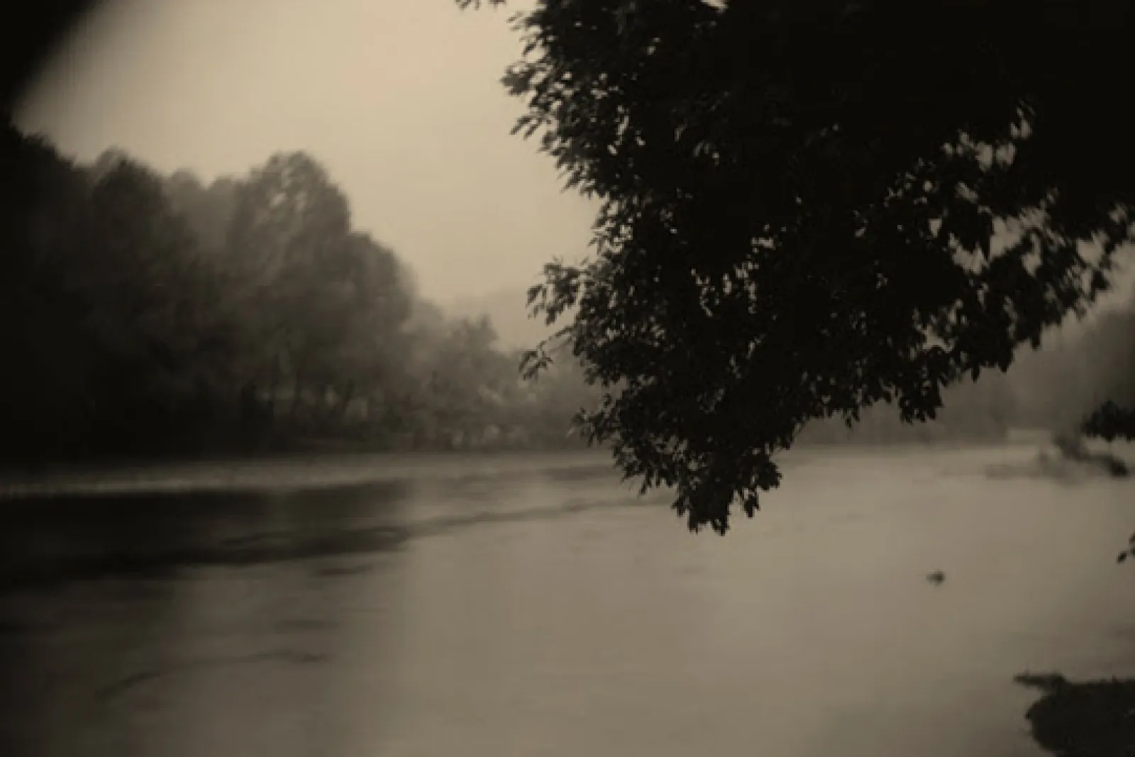 "Sally Mann. Macula et materia"