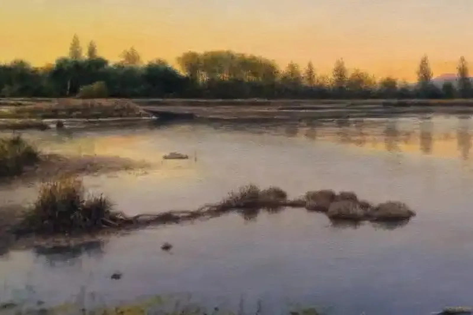 Painting exhibition by Carlos Marcote