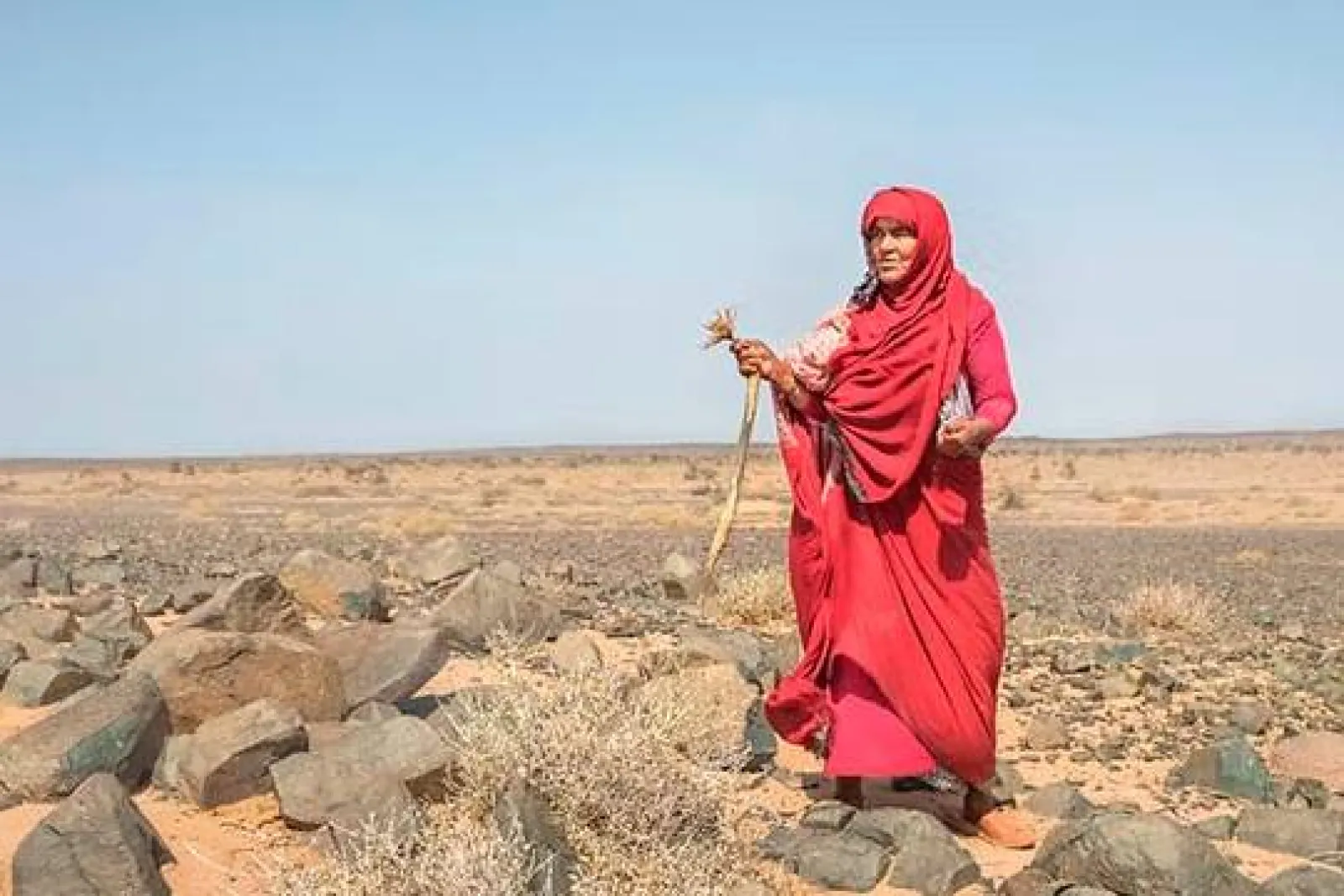 "El viaje de las mujeres del desierto"، معرض لـ Ana Valiño