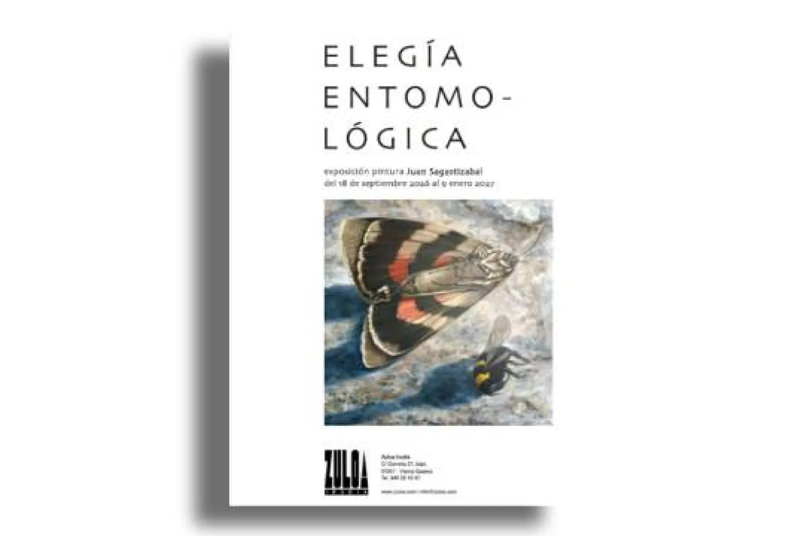 "Elegía Entomológica", exposición de Juan Sagastizabal