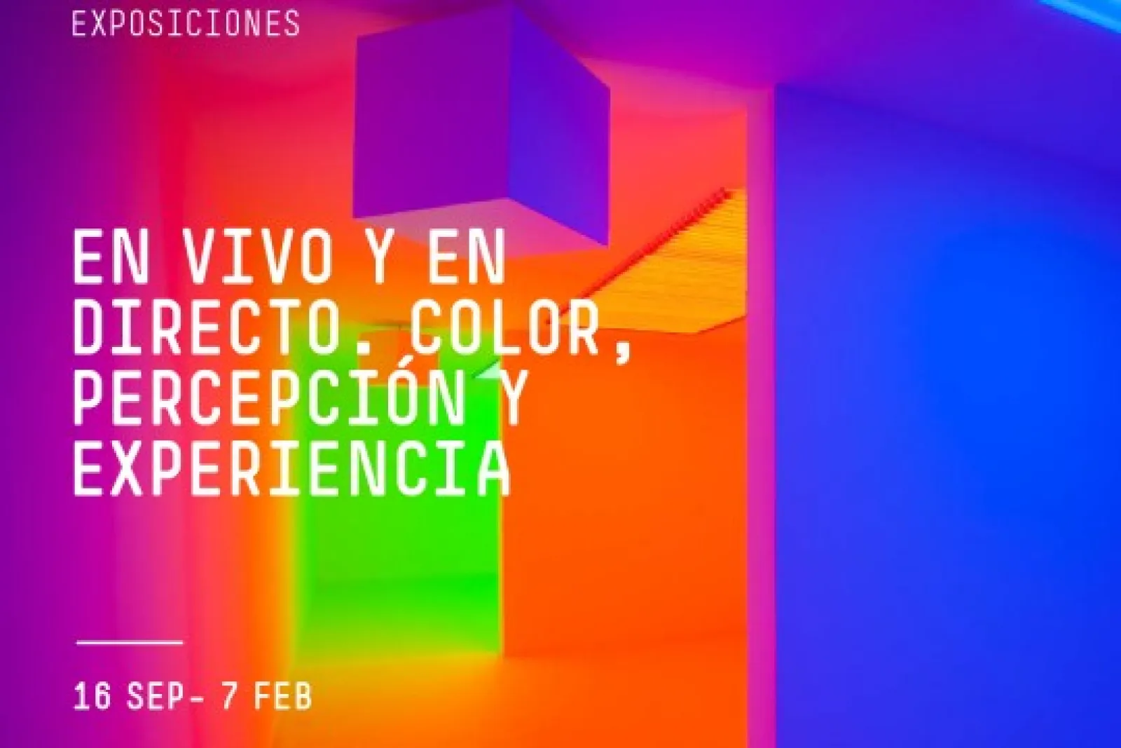 "En vivo y en directo. Color, percepción y experiencia"