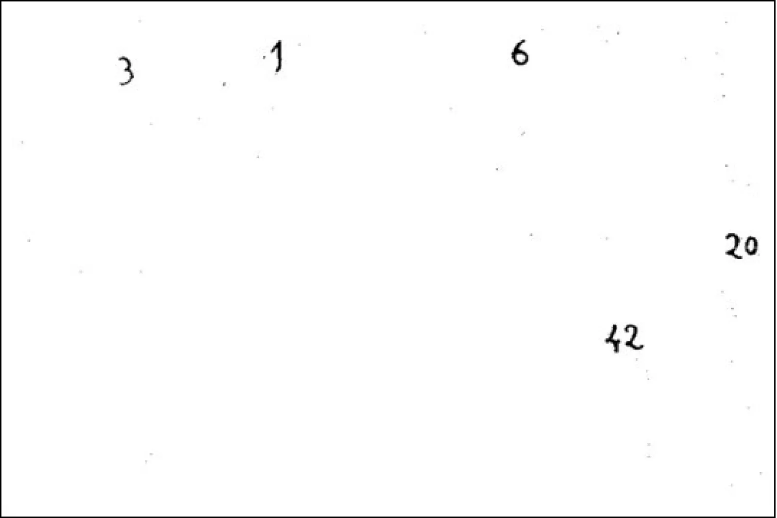 Museo Bikoitza: "Baltzune + P-003687"