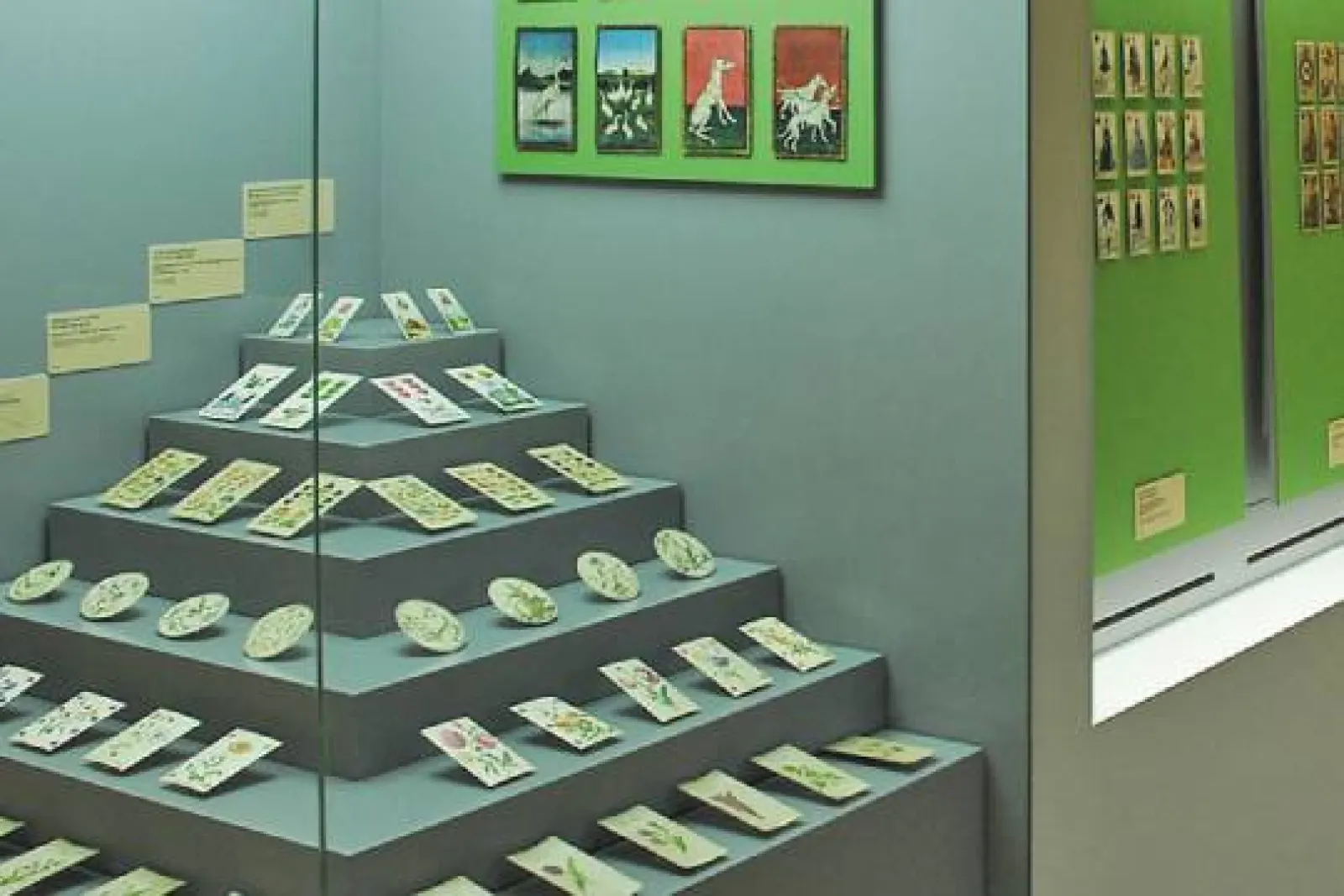 Museo Fournier de Naipes de Álava (exposición permanente)