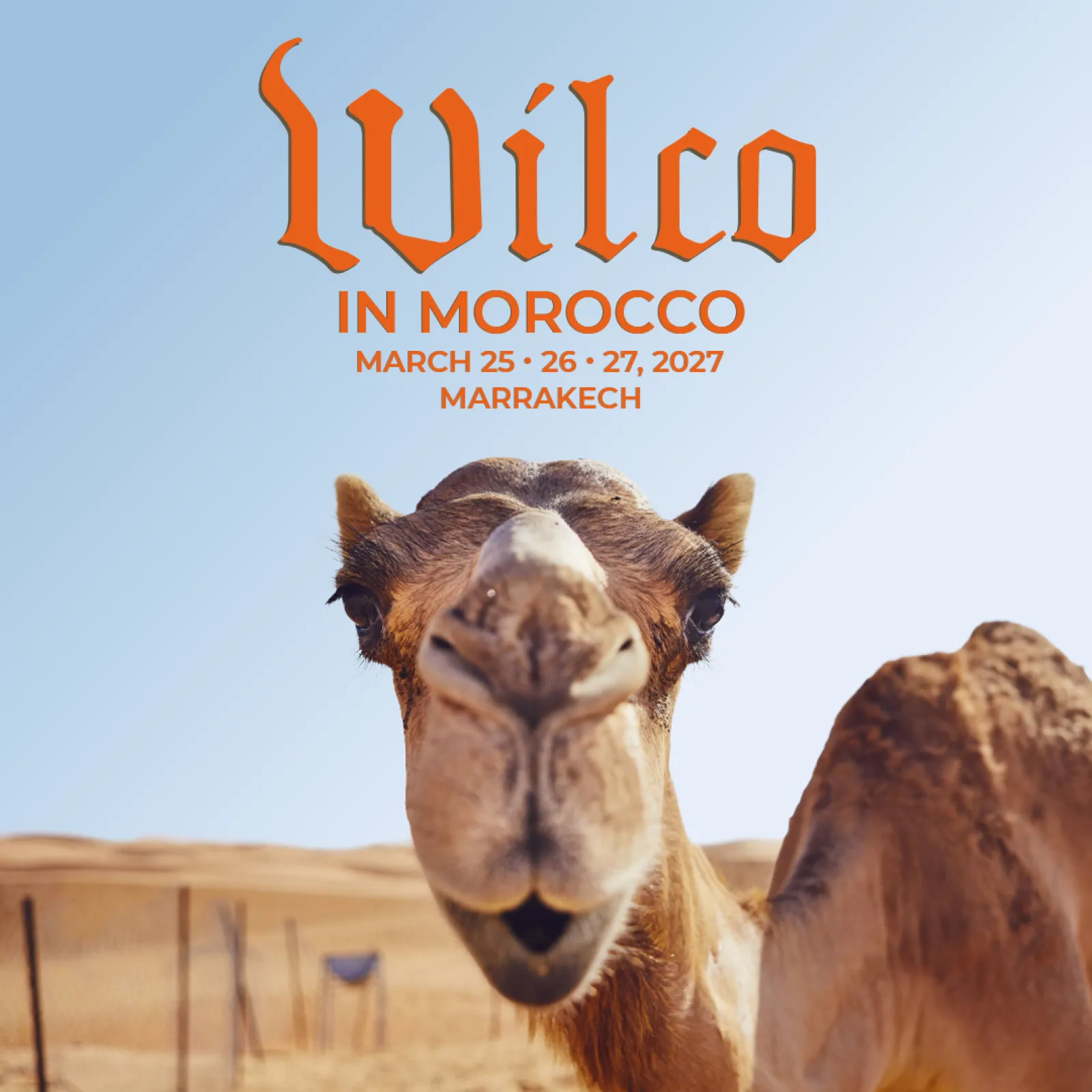 Wilco (In Morocco) — trois nuits à Marrakech