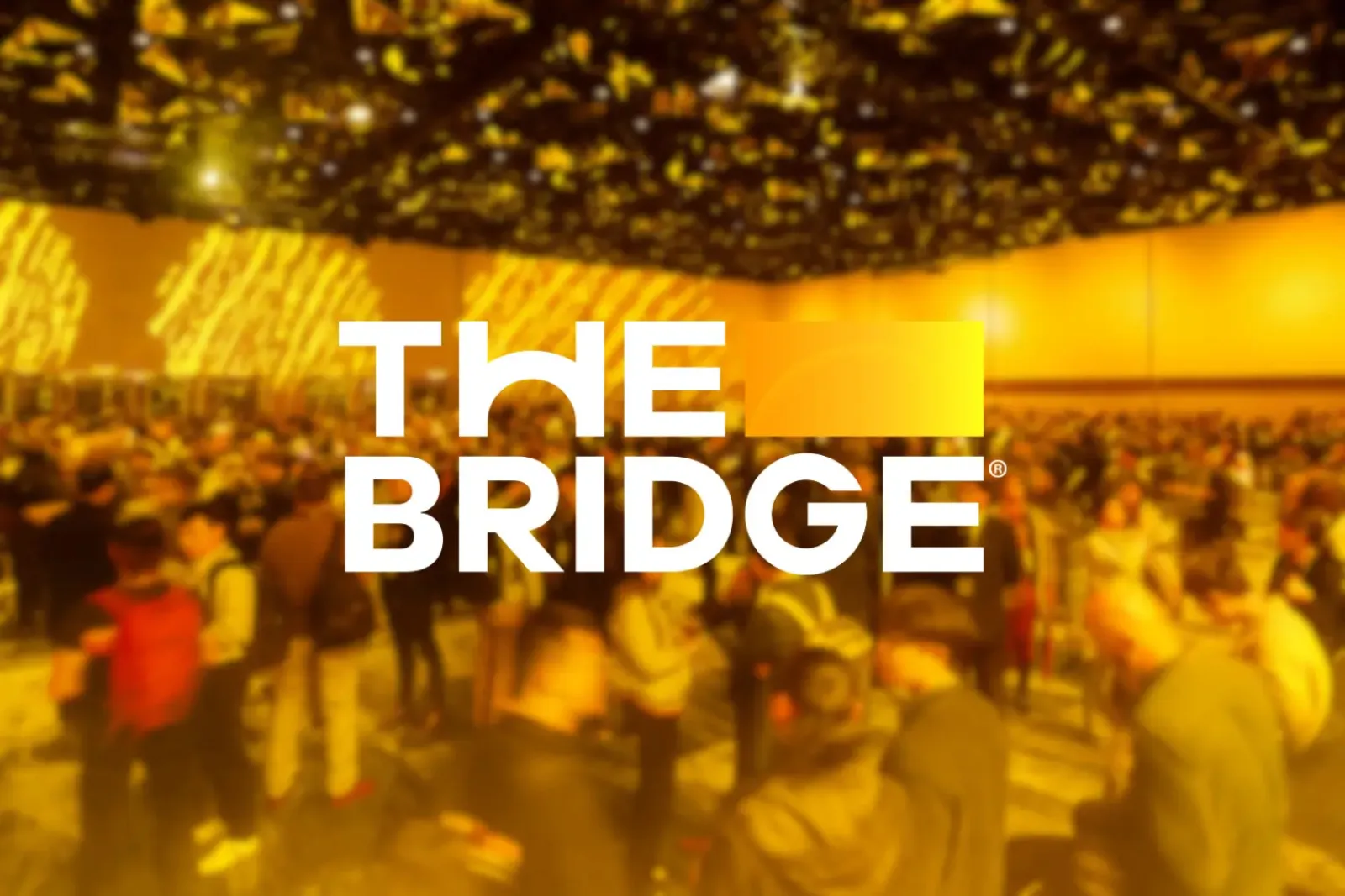 The Bridge – Networking Day