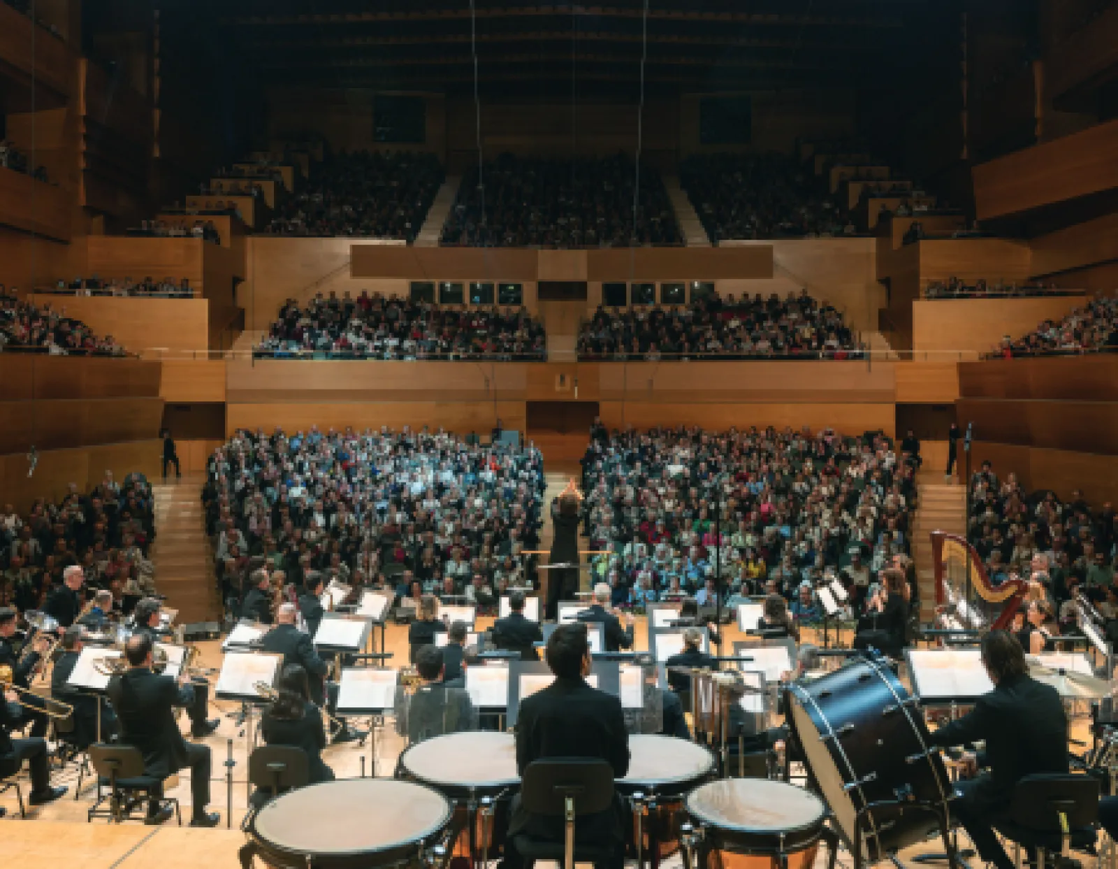 ¡Descubre la Banda! — Donde la música toma forma: vive un ensayo de la BMB desde dentro