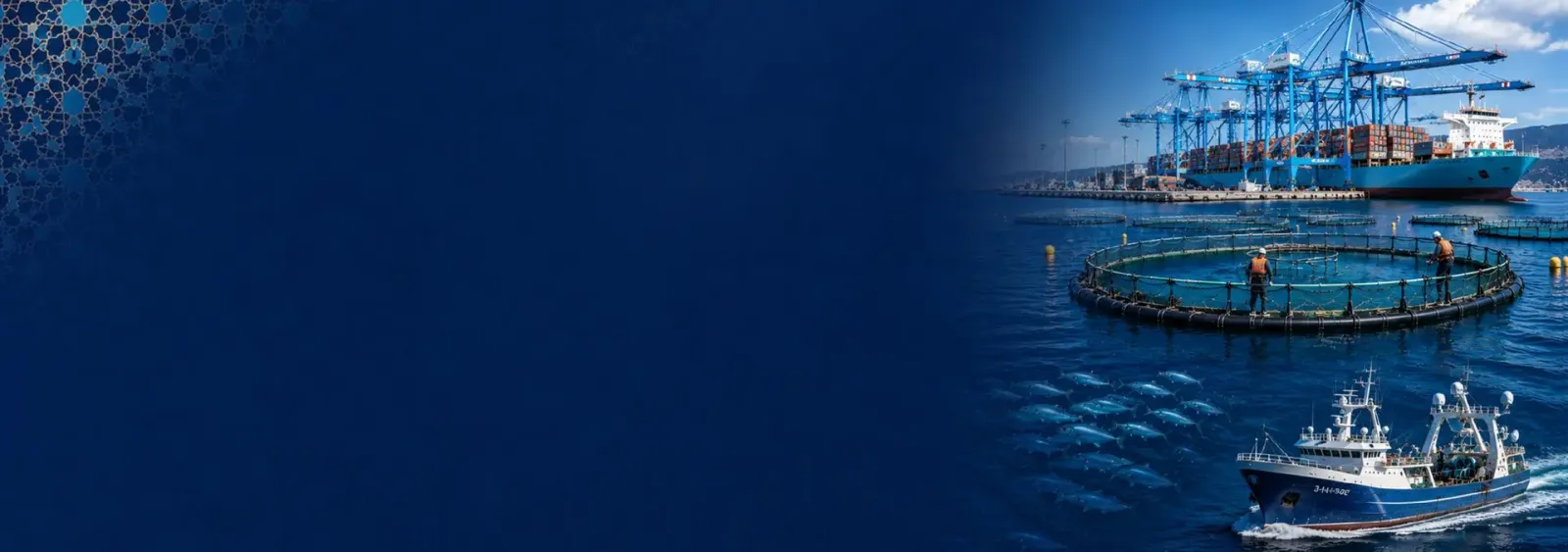 Rencontre d'Affaires dans le secteur halieutique et aquacole — CFCIM / Team France Export