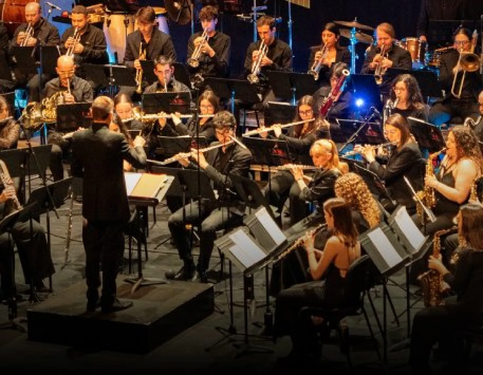 Concierto de año nuevo — Banda de la Unió Musical del Bages