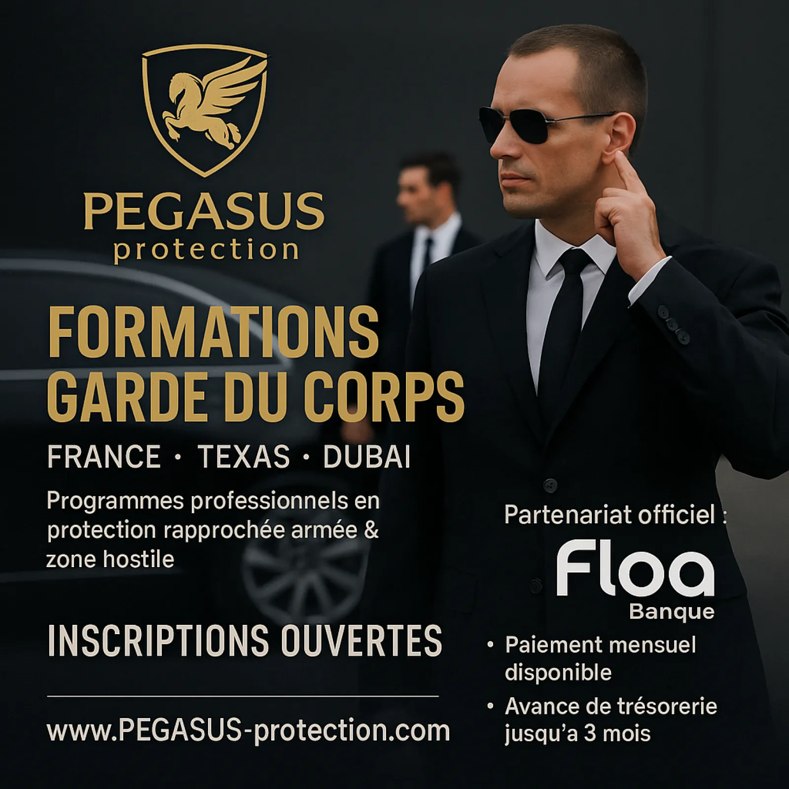 Formation internationale de protection rapprochée — Pegasus Protection
