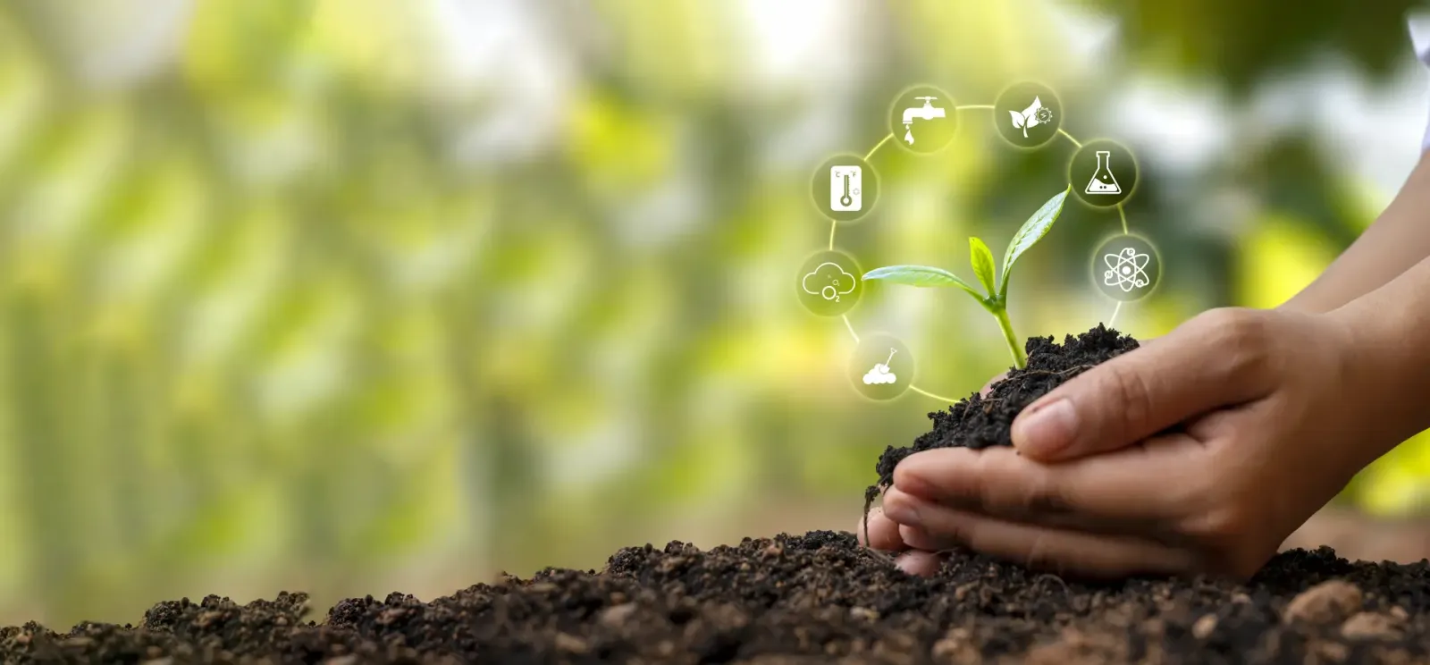 Rencontre d'affaires : produits phytosanitaires