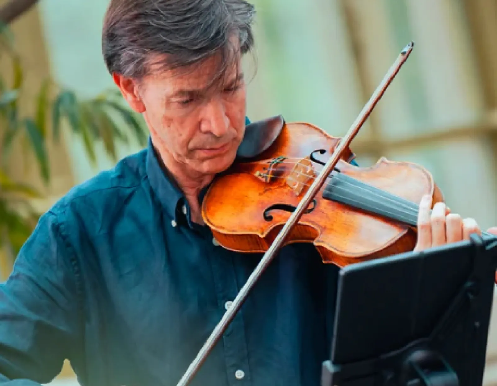 Concert de chambre I — Cycle Constel·lacions