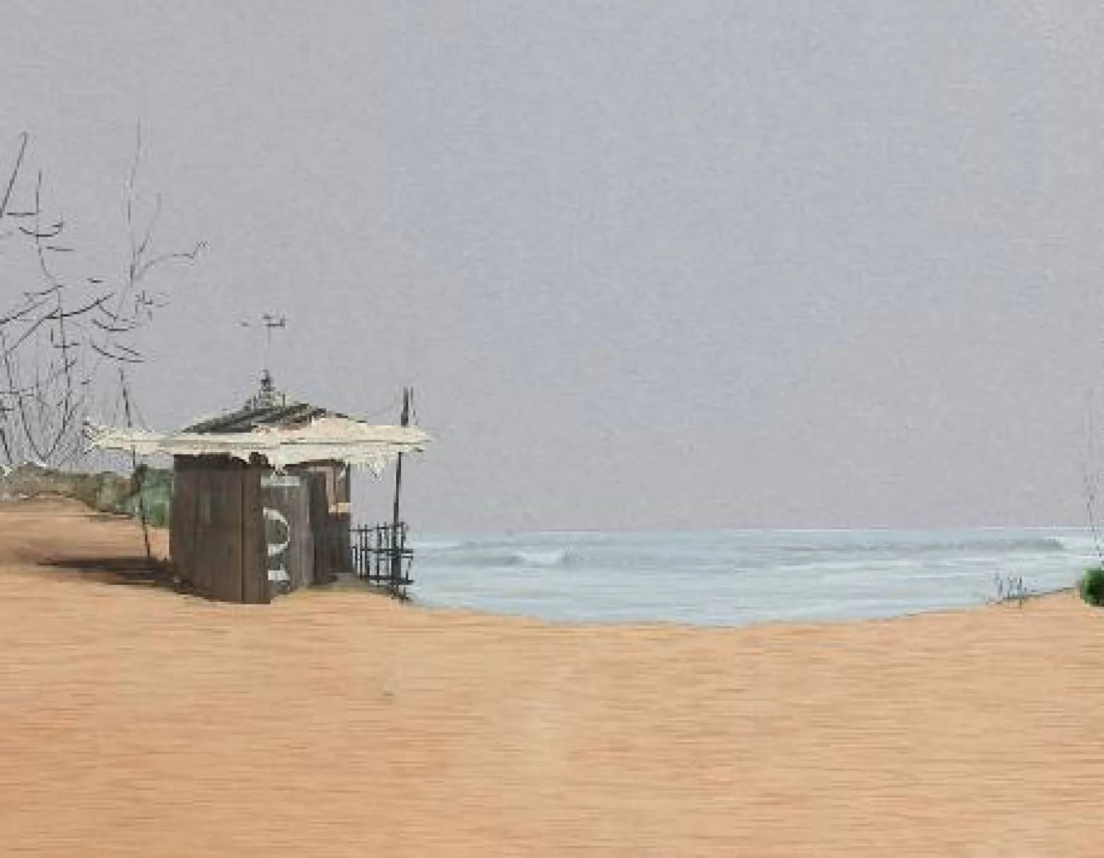 Exposición "Leyendo el tiempo" — Eduardo Query