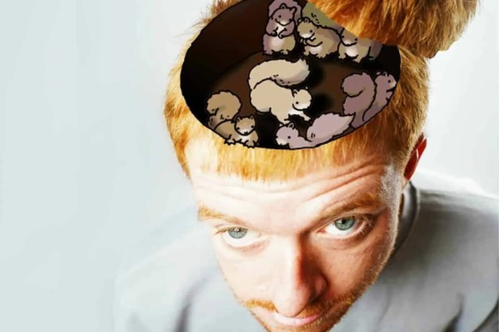 Alex Ayres: "Ardillas en mi Cabeza"