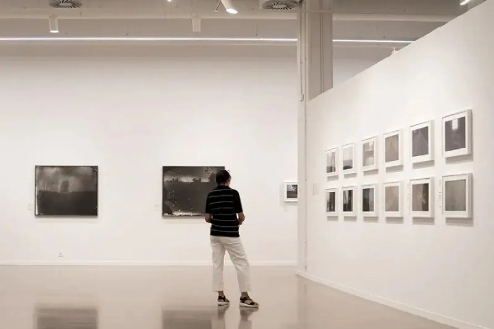 Visita comentada: "Macula et materia", Sally Mann