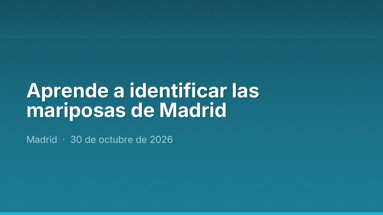 Aprende a identificar las mariposas de Madrid