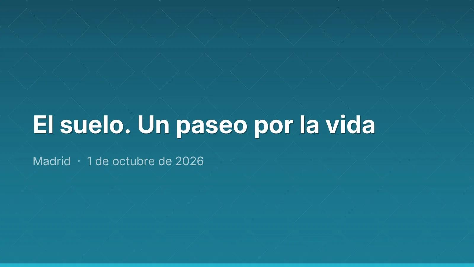 El suelo. Un paseo por la vida