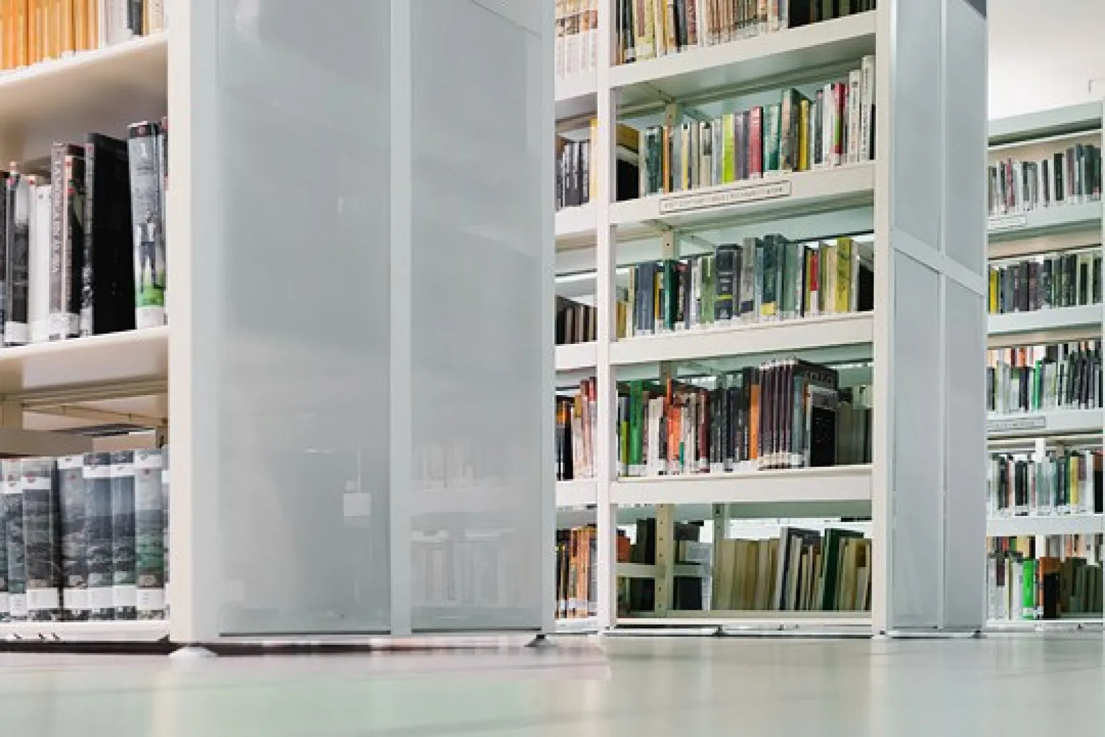 Día Internacional de las Bibliotecas 2026: visitas guiadas en El Pilar