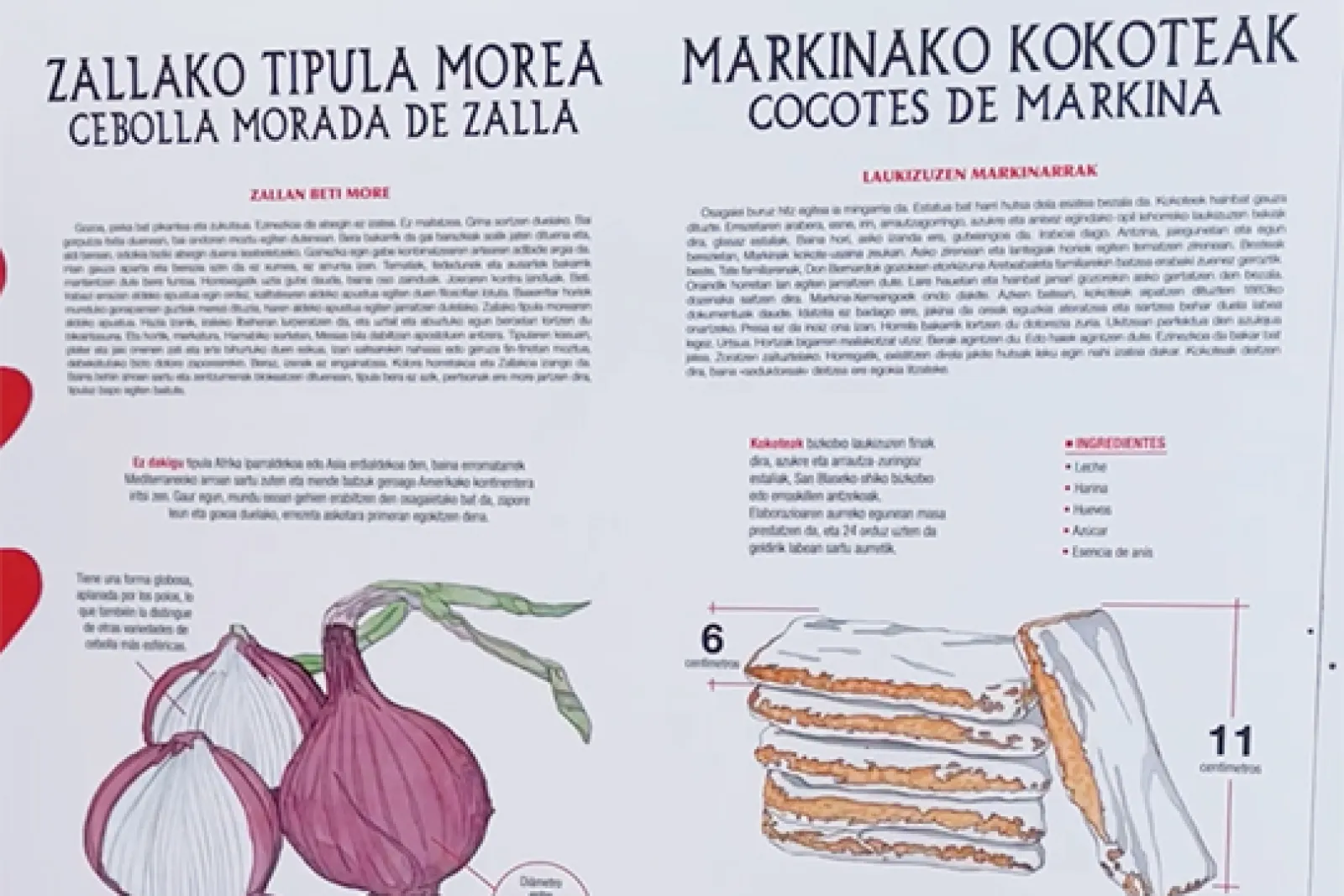 "De Bizkaia de toda la vida" (travelling exhibition)