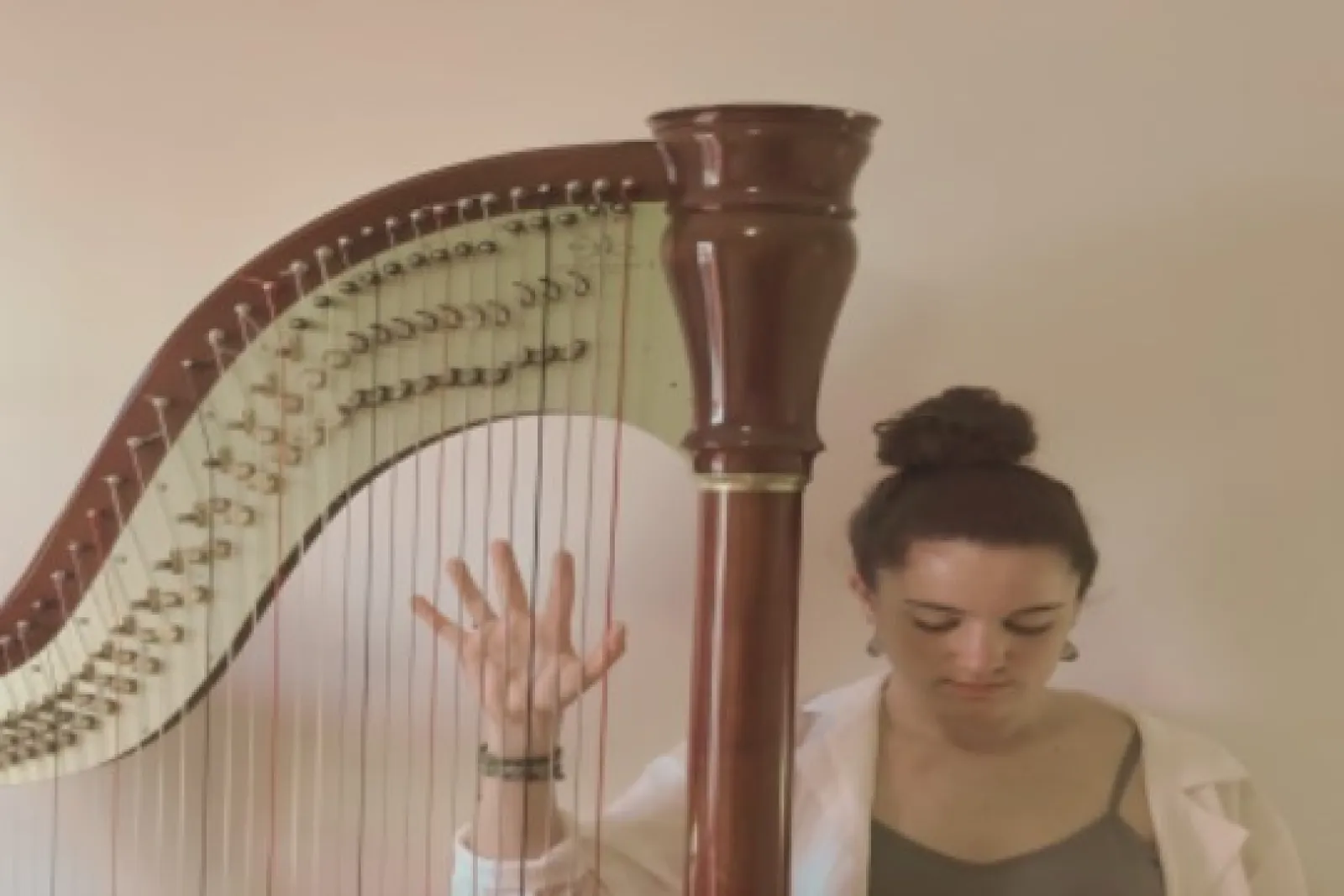 AZARO MUSIKALA: Harpakiro-Basque Songs