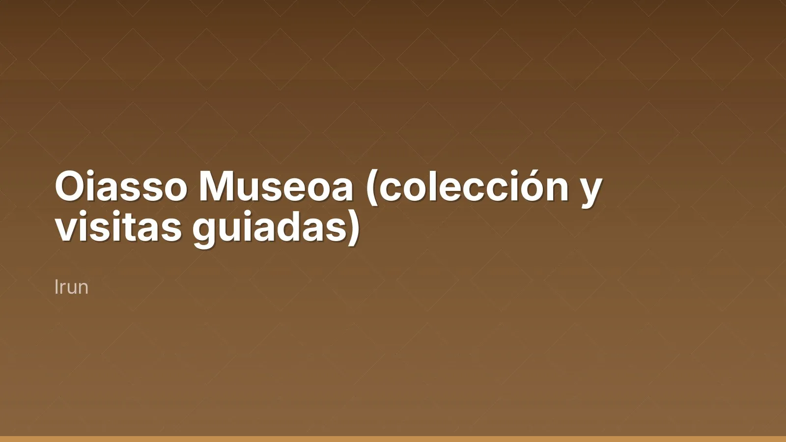 Oiasso Museoa (المجموعة والجولات المصحوبة بمرشد)