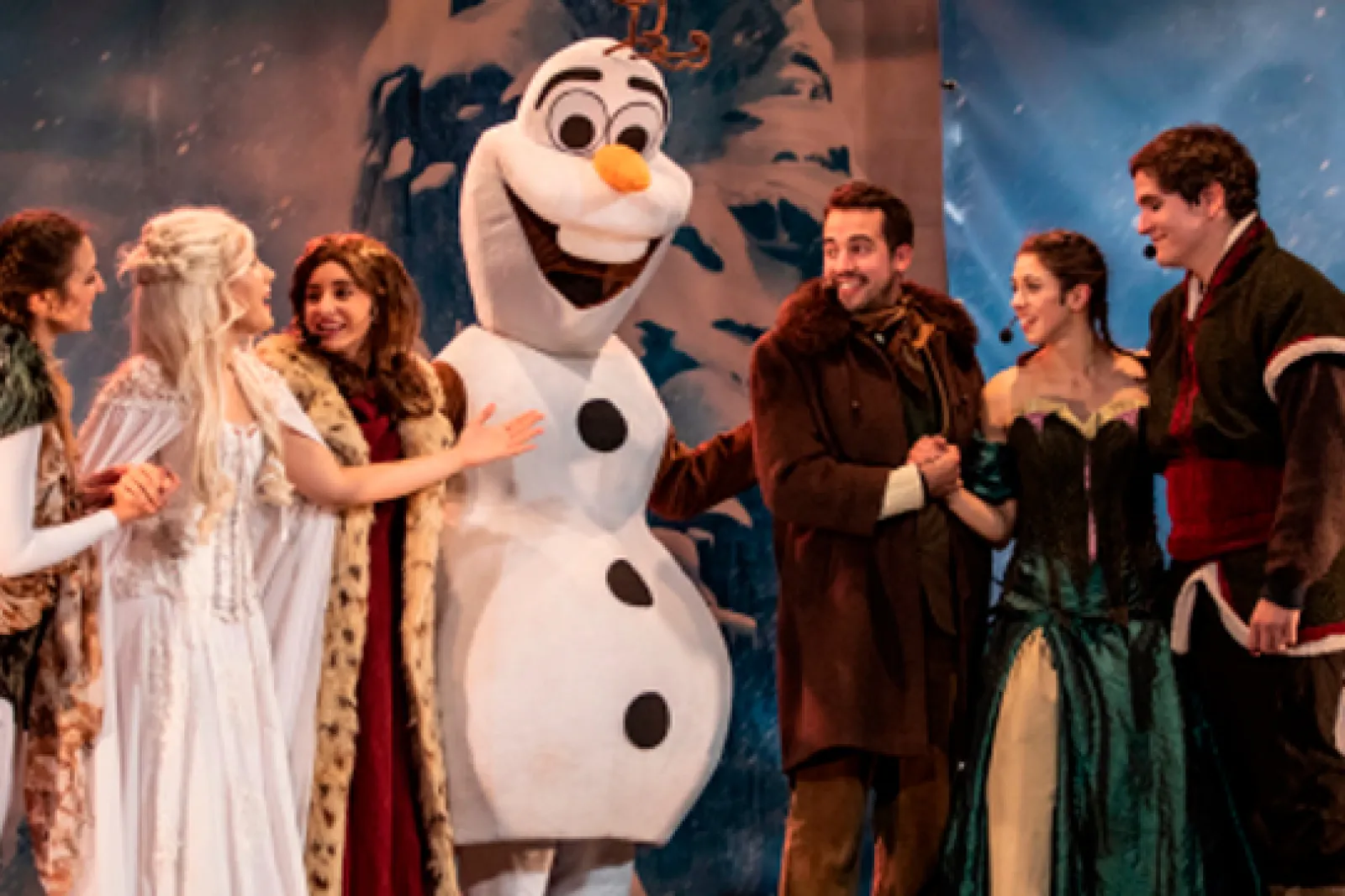 "The Magic of Ice. The Tribute to Frozen"
