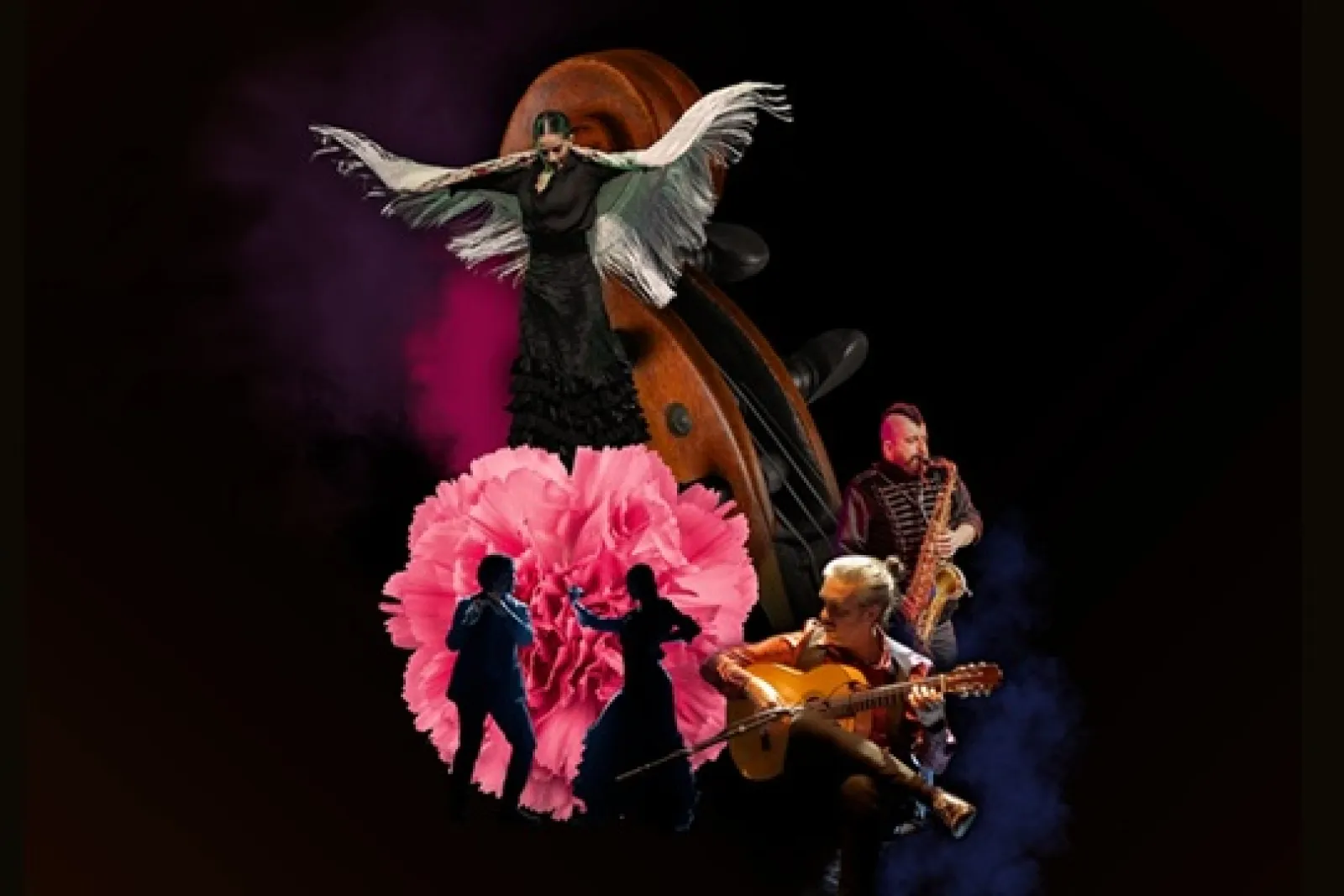 Orquesta Sinfonía Navarra: "Sarasate Flamenco Sinfónico"
