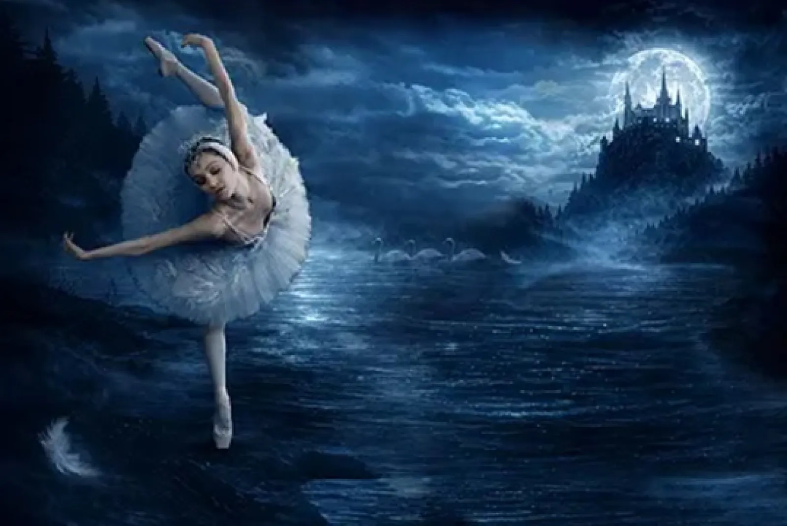 "El Lago de los Cisnes"