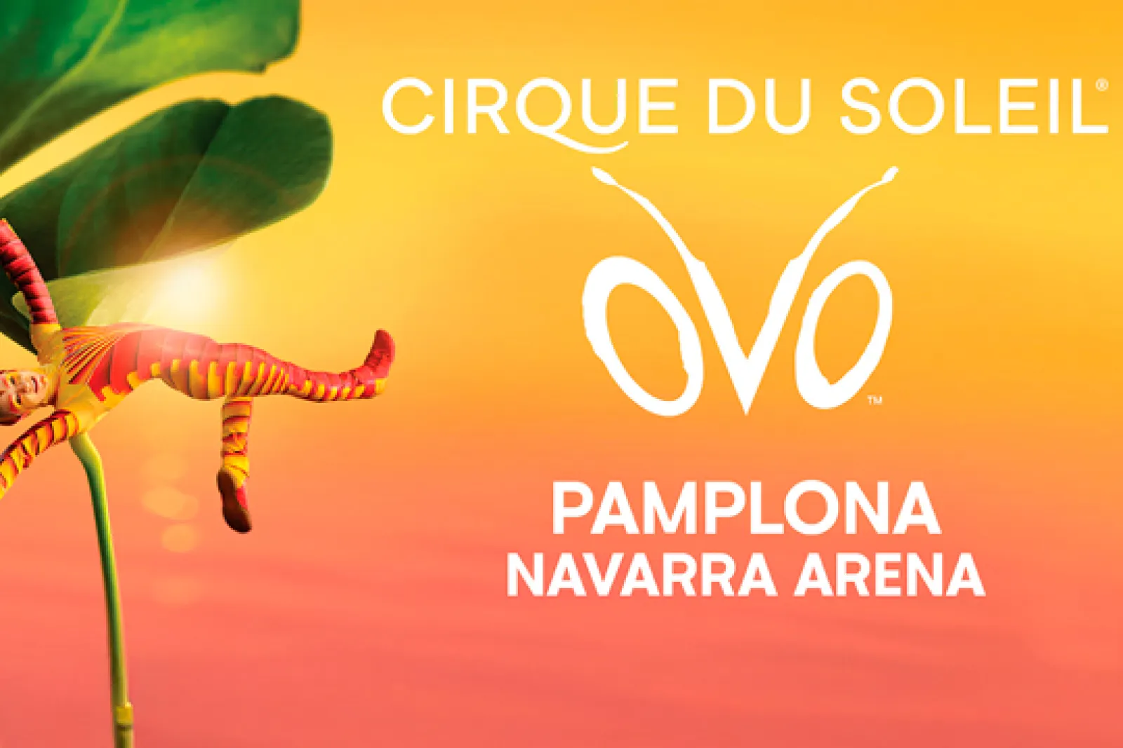 Circo del Sol: "OVO" (Navarra Arena / 14-17 enero)