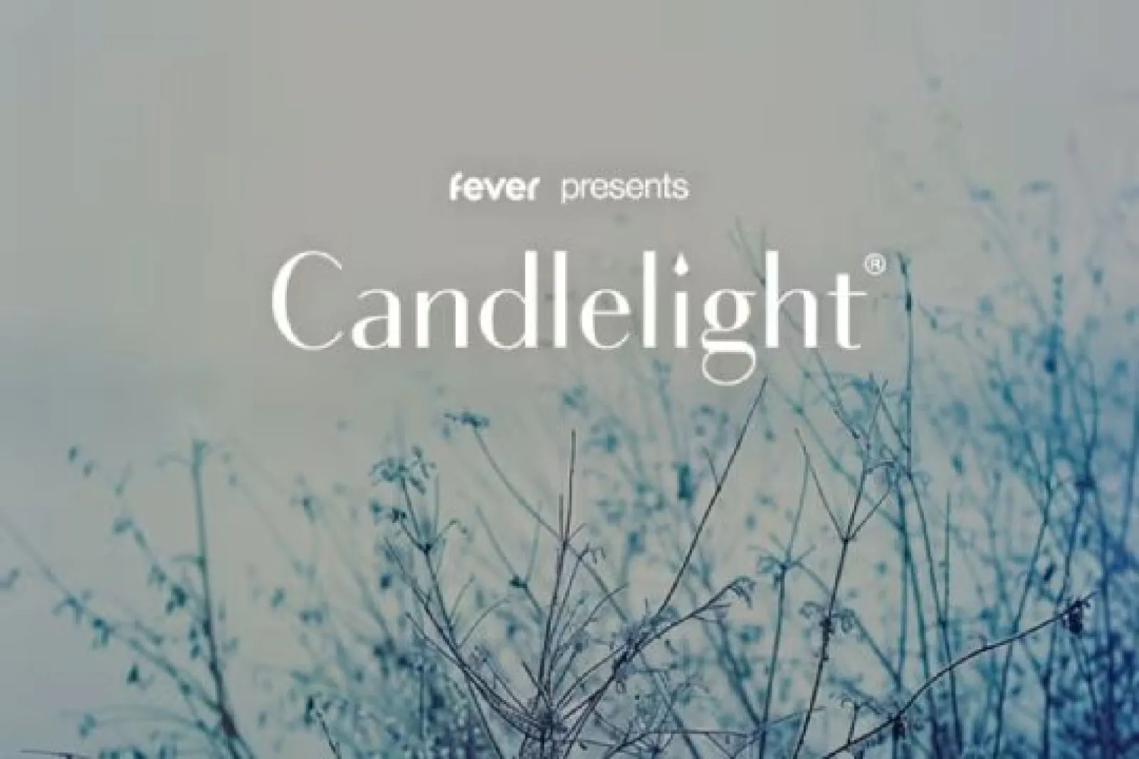 CANDLELIGHT Pamplona: "Tributo a Ludovico Einaudi"