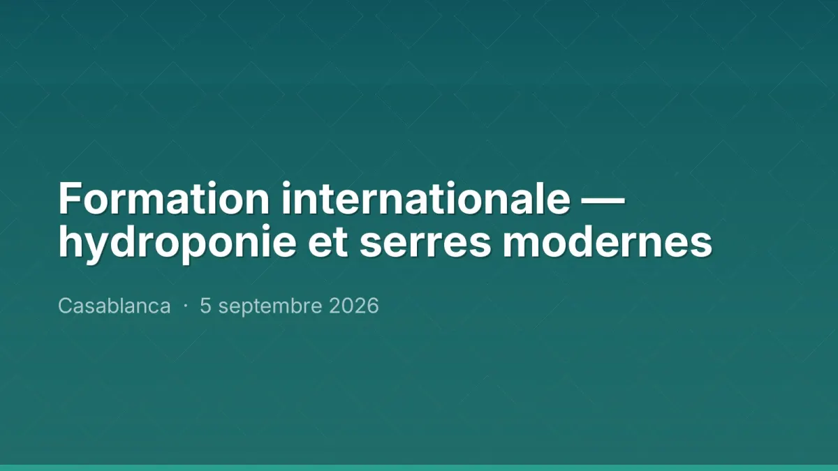 Formation internationale — hydroponie et serres modernes