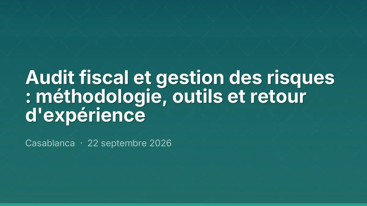 Audit fiscal et gestion des risques : méthodologie, outils et retour d'expérience